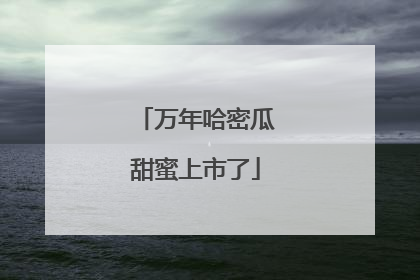 万年哈密瓜甜蜜上市了