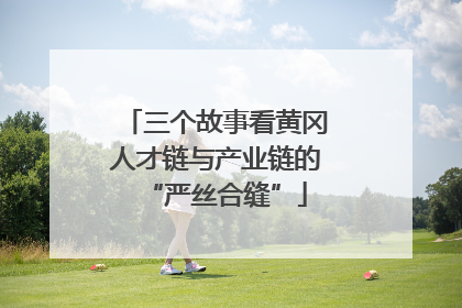 三个故事看黄冈人才链与产业链的“严丝合缝”