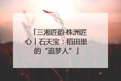 三湘匠韵·株洲匠心丨石天宝：稻田里的“追梦人”