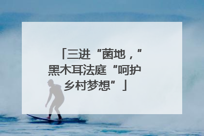 三进“菌地，”黑木耳法庭“呵护乡村梦想”