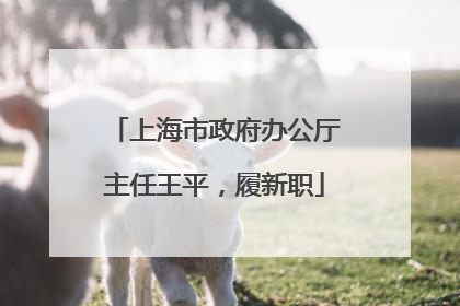 上海市政府办公厅主任王平，履新职