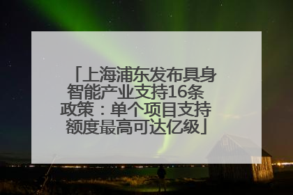 上海浦东发布具身智能产业支持16条政策：单个项目支持额度最高可达亿级