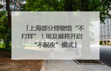 上海部分博物馆“不打烊”！埃及展将开启“不眠夜”模式