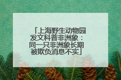 上海野生动物园发文科普非洲象：同一只非洲象长期被欺负消息不实