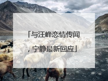 与汪峰恋情传闻，宁静最新回应