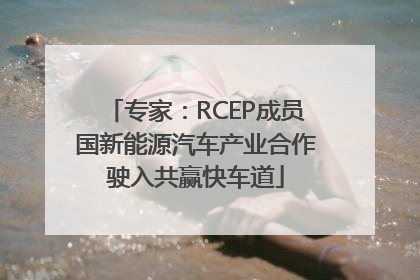 专家：RCEP成员国新能源汽车产业合作驶入共赢快车道