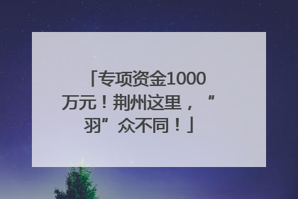专项资金1000万元！荆州这里，“羽”众不同！