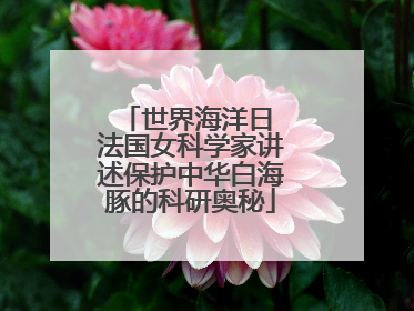 世界海洋日 法国女科学家讲述保护中华白海豚的科研奥秘