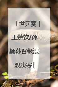世乒赛｜王楚钦/孙颖莎晋级混双决赛