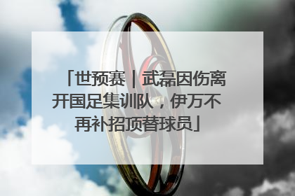 世预赛｜武磊因伤离开国足集训队，伊万不再补招顶替球员