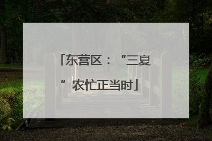 东营区：“三夏”农忙正当时