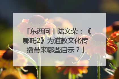 东西问丨陆文荣：《哪吒2》为道教文化传播带来哪些启示？