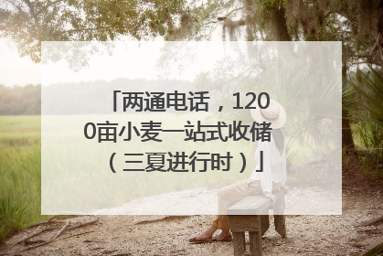 两通电话，1200亩小麦一站式收储（三夏进行时）