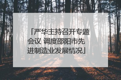 严华主持召开专题会议 调度邵阳市先进制造业发展情况