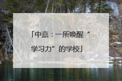 中嘉：一所唤醒“学习力”的学校