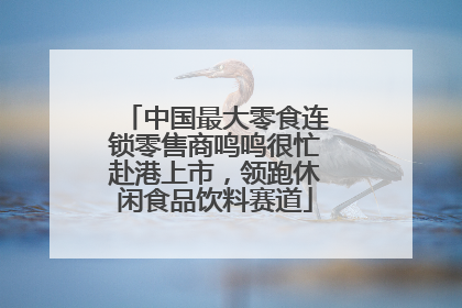 中国最大零食连锁零售商鸣鸣很忙赴港上市，领跑休闲食品饮料赛道