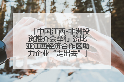 中国江西-非洲投资推介会举行 赞比亚江西经济合作区助力企业“走出去”