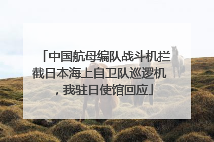 中国航母编队战斗机拦截日本海上自卫队巡逻机，我驻日使馆回应
