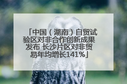 中国（湖南）自贸试验区对非合作创新成果发布 长沙片区对非贸易年均增长141%