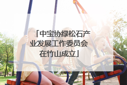 中宝协绿松石产业发展工作委员会在竹山成立