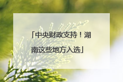 中央财政支持！湖南这些地方入选
