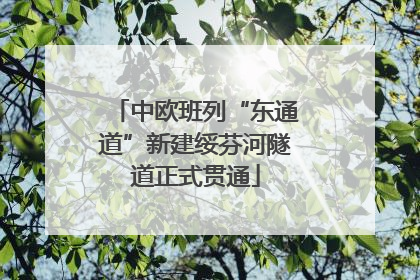 中欧班列“东通道”新建绥芬河隧道正式贯通
