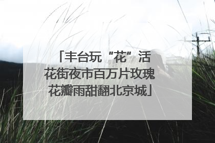 丰台玩“花”活 花街夜市百万片玫瑰花瓣雨甜翻北京城