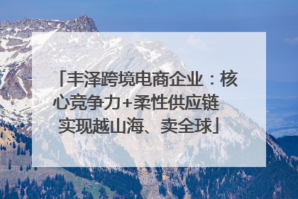 丰泽跨境电商企业：核心竞争力+柔性供应链 实现越山海、卖全球