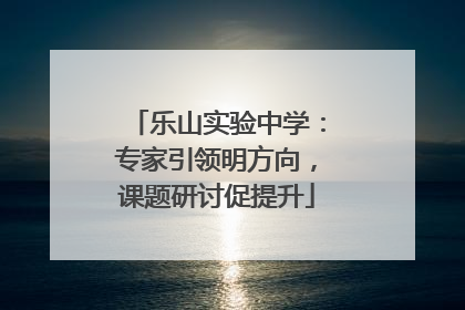 乐山实验中学：专家引领明方向，课题研讨促提升