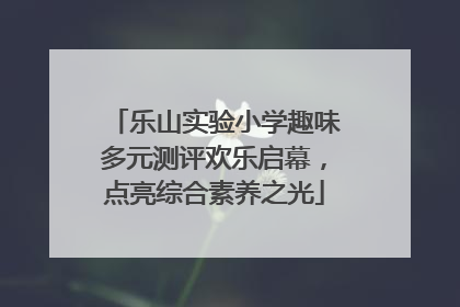 乐山实验小学趣味多元测评欢乐启幕，点亮综合素养之光