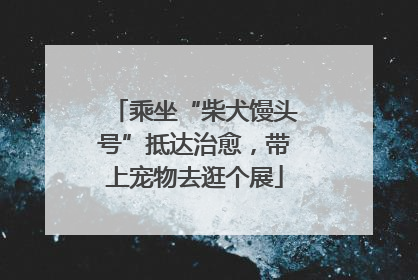 乘坐“柴犬馒头号”抵达治愈，带上宠物去逛个展