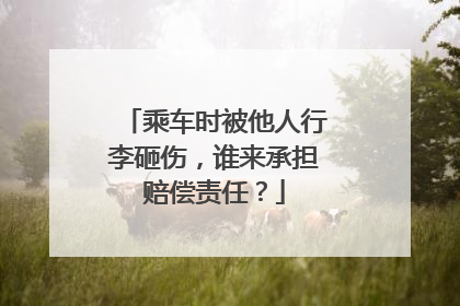乘车时被他人行李砸伤，谁来承担赔偿责任？