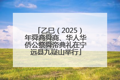 乙巳（2025）年舜裔舜商、华人华侨公祭舜帝典礼在宁远县九嶷山举行