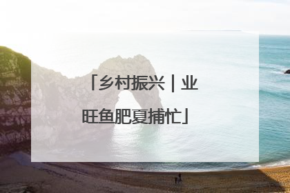 乡村振兴｜业旺鱼肥夏捕忙