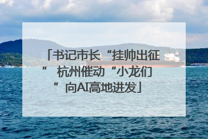 书记市长“挂帅出征” 杭州催动“小龙们”向AI高地进发