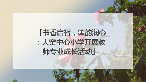 书香启智，墨韵润心：大窑中心小学开展教师专业成长活动