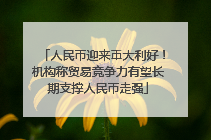 人民币迎来重大利好！机构称贸易竞争力有望长期支撑人民币走强