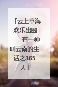 云上草海 欢乐出圈——有一种叫云南的生活之365天