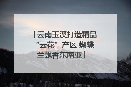 云南玉溪打造精品“云花”产区 蝴蝶兰飘香东南亚