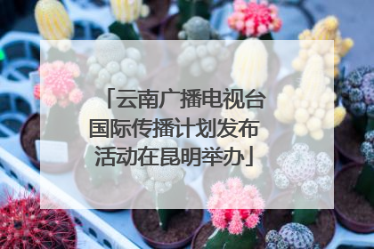 云南广播电视台国际传播计划发布活动在昆明举办