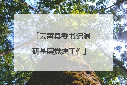 云霄县委书记调研基层党建工作