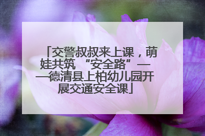 交警叔叔来上课，萌娃共筑 “安全路”——德清县上柏幼儿园开展交通安全课