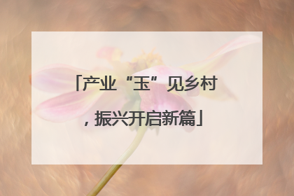产业“玉”见乡村，振兴开启新篇