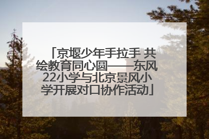 京堰少年手拉手 共绘教育同心圆——东风22小学与北京景风小学开展对口协作活动