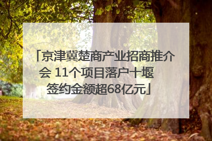 京津冀楚商产业招商推介会 11个项目落户十堰 签约金额超68亿元