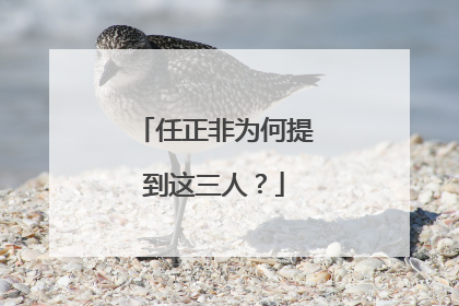 任正非为何提到这三人？