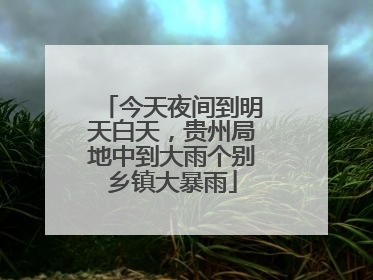 今天夜间到明天白天，贵州局地中到大雨个别乡镇大暴雨