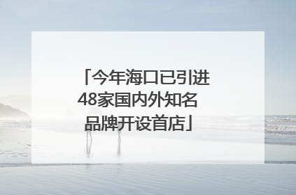 今年海口已引进48家国内外知名品牌开设首店