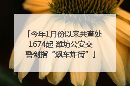 今年1月份以来共查处1674起 潍坊公安交警剑指“飙车炸街”