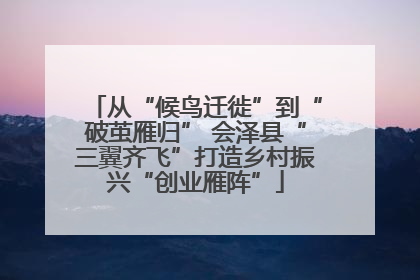 从“候鸟迁徙”到“破茧雁归” 会泽县“三翼齐飞”打造乡村振兴“创业雁阵”